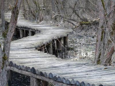 Pallosor a gyadai tanosvenyen
